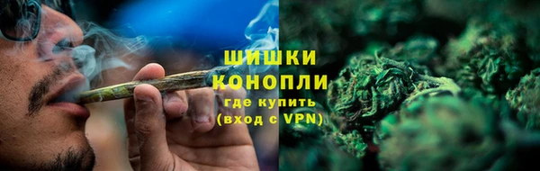 стафф Бородино