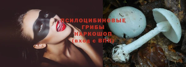 стафф Бородино