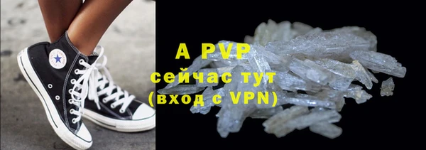 PSILOCYBIN Бронницы