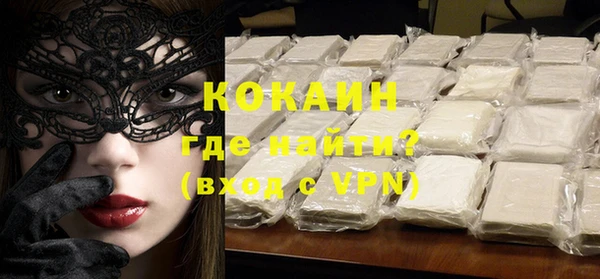стафф Бородино