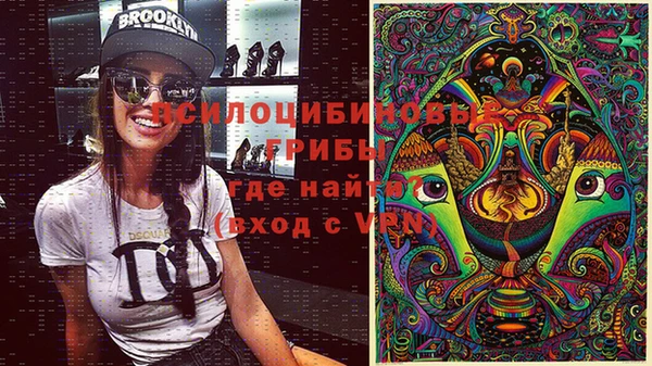 бошки Бугульма