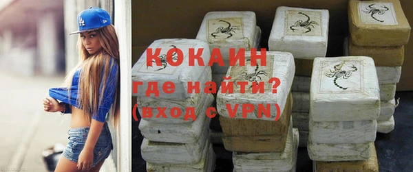 стафф Бородино
